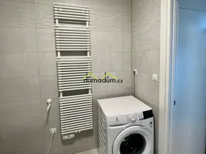 Pronájem bytu 1+1, Praha, Chlumova, 47 m2