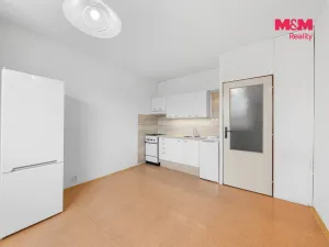 Prodej bytu 1+1, Ústí nad Labem, Peškova, 38 m2