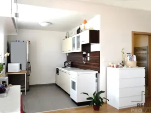 Pronájem bytu 1+kk, Brno, U Leskavy, 33 m2