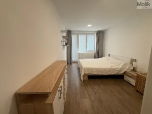 Pronájem bytu 3+1, Litvínov - Horní Litvínov, Vinohradská, 63 m2