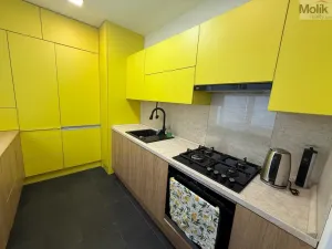 Pronájem bytu 3+1, Litvínov - Horní Litvínov, Vinohradská, 63 m2