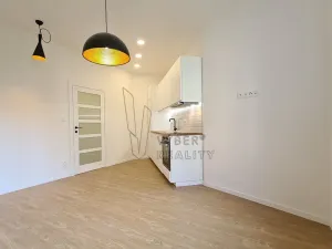 Pronájem bytu 1+kk, Praha - Vršovice, Holandská, 27 m2
