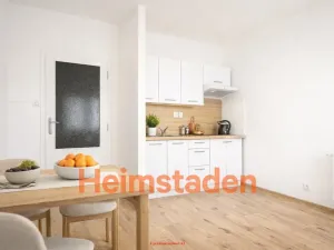 Pronájem bytu 1+kk, Ostrava - Poruba, Francouzská, 28 m2