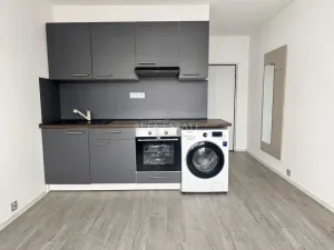 Pronájem bytu 1+kk, Chodov, Palackého, 20 m2