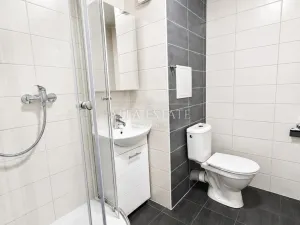 Pronájem bytu 1+kk, Chodov, Palackého, 20 m2