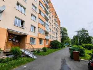 Pronájem bytu 1+kk, Chodov, Palackého, 20 m2