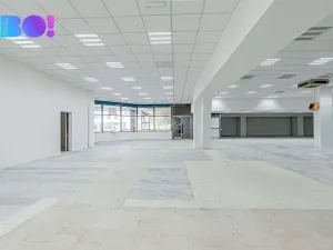 Pronájem skladu, Opava, Ratibořská, 890 m2