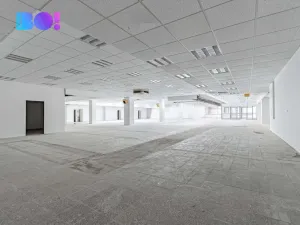 Pronájem skladu, Opava, Ratibořská, 890 m2