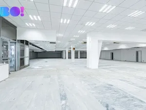 Pronájem obchodního prostoru, Opava, Ratibořská, 890 m2