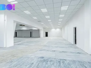 Pronájem obchodního prostoru, Opava, Ratibořská, 890 m2