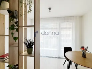 Pronájem bytu 1+kk, Praha, Jáchymovská, 33 m2