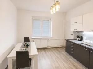 Pronájem bytu 2+1, Ústí nad Labem - Střekov, Pionýrů, 49 m2