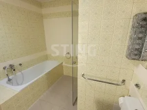 Pronájem bytu 1+kk, Opava, Gagarinova, 12 m2