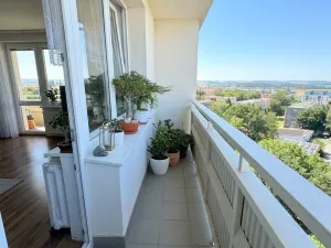 Prodej bytu 3+kk, Opava, Haškova, 66 m2
