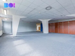 Pronájem obchodního prostoru, Frýdek-Místek, Frýdlantská, 235 m2