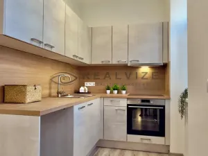 Pronájem bytu 1+kk, České Budějovice, Rudolfovská tř., 36 m2