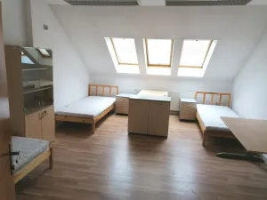 Pronájem bytu 1+kk, Pardubice - Zelené Předměstí, Smilova, 20 m2
