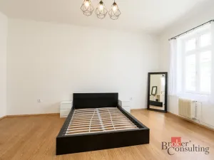 Pronájem bytu 3+1, Plzeň - Jižní Předměstí, Havlíčkova, 104 m2