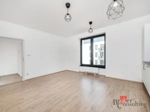 Pronájem bytu 1+kk, Plzeň - Jižní Předměstí, Železná, 28 m2