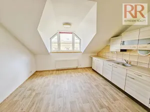 Pronájem bytu 2+kk, Plzeň, Skrétova, 46 m2