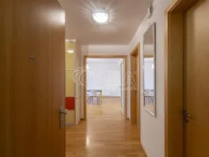 Pronájem bytu 2+kk, Praha - Košíře, Linhartova, 81 m2