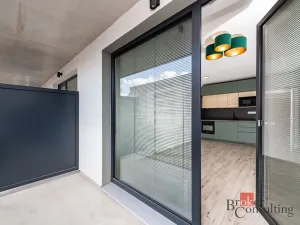 Pronájem bytu 1+kk, Plzeň - Jižní Předměstí, Železná, 38 m2