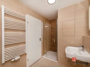 Pronájem bytu 1+kk, Plzeň - Jižní Předměstí, Železná, 38 m2