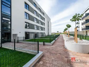 Pronájem bytu 1+kk, Plzeň - Jižní Předměstí, Železná, 38 m2