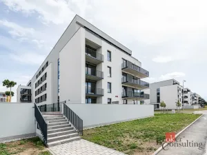 Pronájem bytu 1+kk, Plzeň - Jižní Předměstí, Železná, 38 m2
