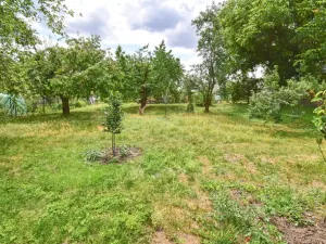 Prodej pozemku pro bydlení, Třemošná, Nové sídliště, 1133 m2