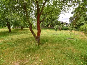 Prodej pozemku pro bydlení, Třemošná, Nové sídliště, 1133 m2