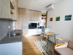 Pronájem bytu 1+kk, Praha - Hostivař, Hornoměcholupská, 30 m2