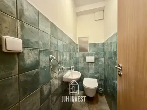 Pronájem bytu 2+kk, Praha - Vinohrady, Lublaňská, 57 m2