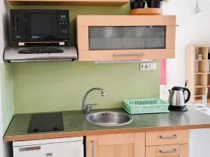 Pronájem bytu 1+kk, Brno, Kohoutova, 45 m2