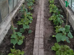 Prodej pozemku pro bydlení, Protivín, 1134 m2