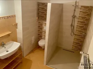 Prodej vícegeneračního domu, Vanovice, 450 m2