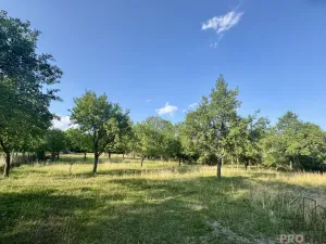 Prodej vícegeneračního domu, Vanovice, 450 m2