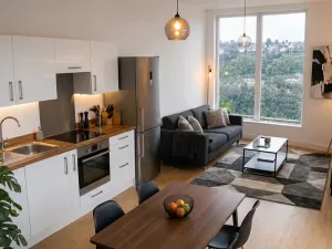 Prodej bytu 2+kk, Praha - Hlubočepy, Na Zlíchově, 51 m2