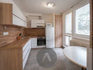 Prodej bytu 1+1, Brno, Horácké náměstí, 45 m2