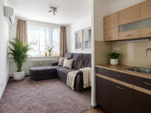 Pronájem bytu 2+kk, Kolín, Březinova, 32 m2