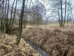 Prodej pole, Vyšší Brod - Hrudkov, 8071 m2