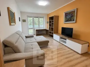 Pronájem bytu 2+1, Ostrava, Krakovská, 56 m2