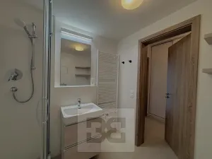 Pronájem bytu 2+kk, Praha - Hlubočepy, Novotného, 47 m2