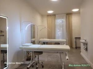 Pronájem obchodního prostoru, Praha - Vysočany, Freyova, 57 m2