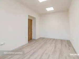 Pronájem kanceláře, Plzeň - Jižní Předměstí, Kotkova, 69 m2