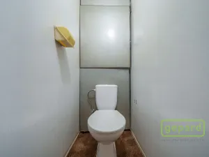 Prodej bytu 2+1, Karlovy Vary, Krymská, 55 m2
