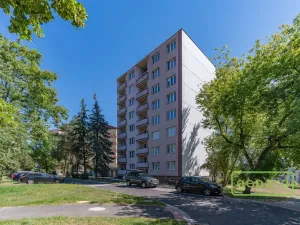 Prodej bytu 1+1, Cheb, Matěje Kopeckého, 36 m2