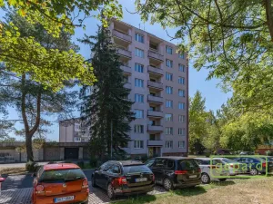 Prodej bytu 1+1, Cheb, Matěje Kopeckého, 36 m2