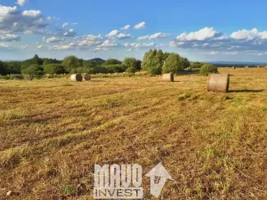 Prodej louky, Petrovice, 118619 m2