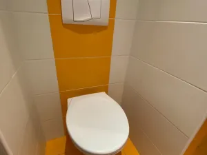 Pronájem bytu 1+1, České Budějovice - České Budějovice 6, Brožíkova, 38 m2